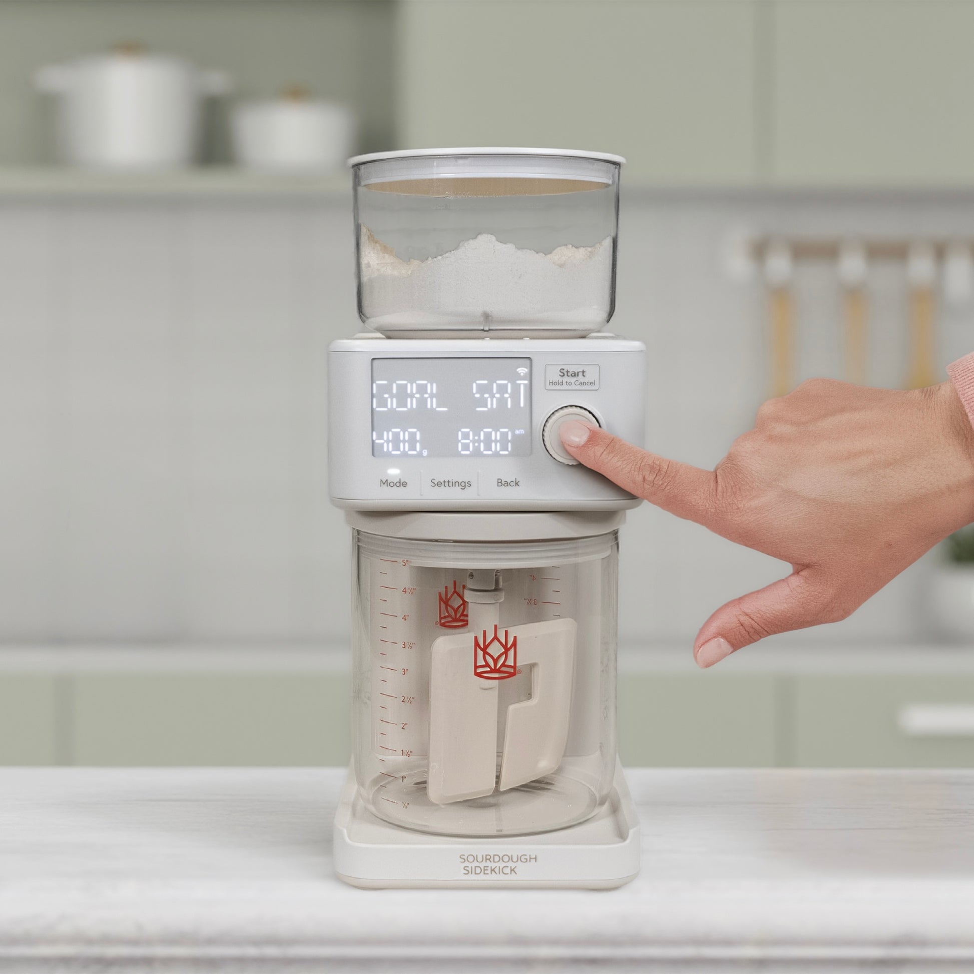 The Sourdough Sidekick