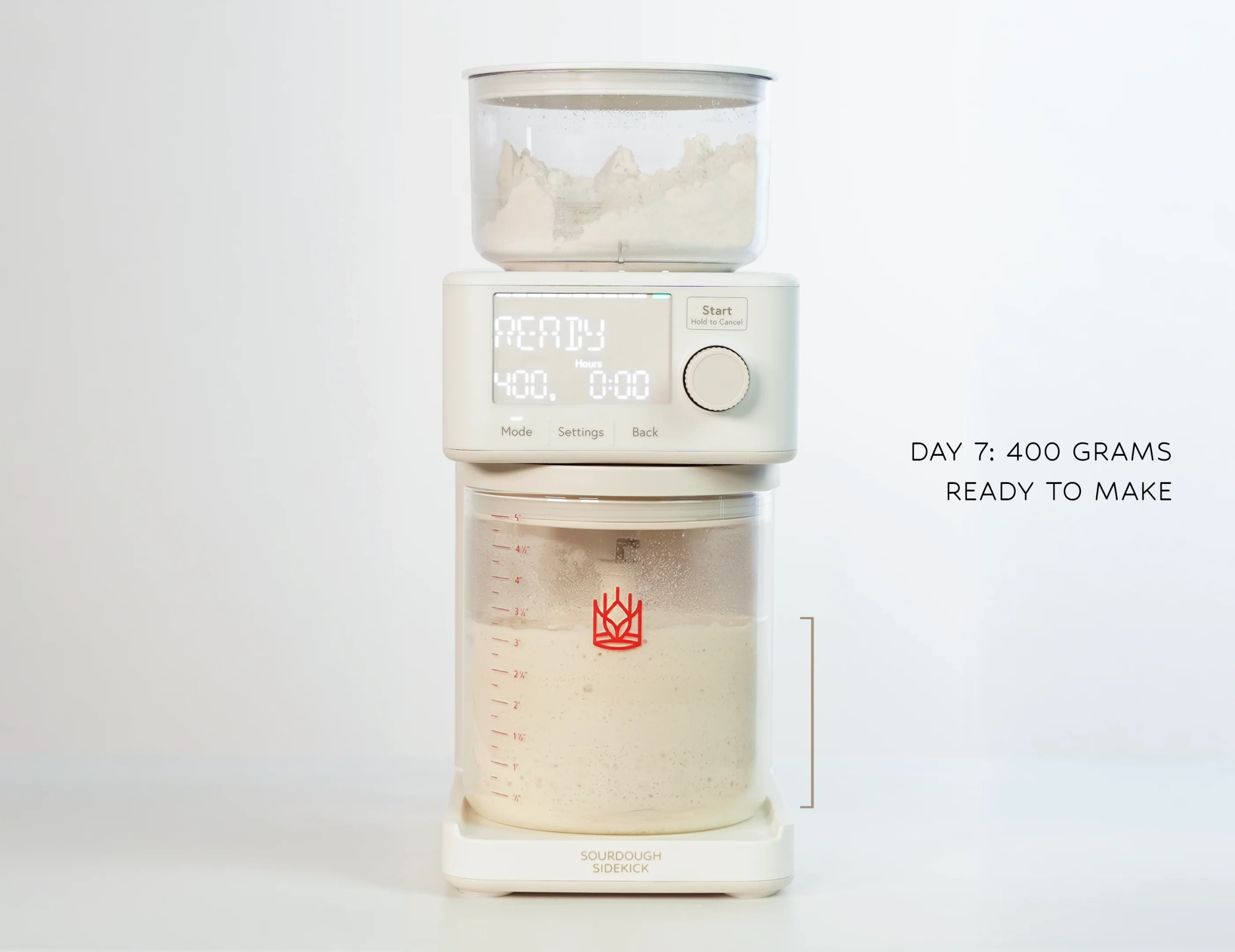 Day 7: 400 grams, ready to make. The crock is full of active starter.